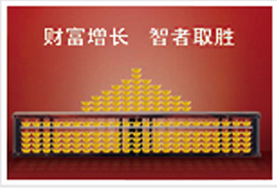 百万身价惠民两全保险组合计划