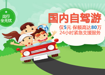 Domestic auto insurance